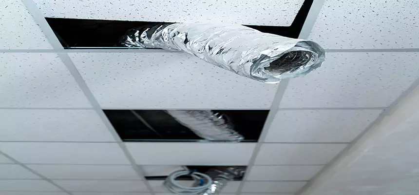 Our Air Duct Pet Hair Removal Services in Catalina Foothills, AZ