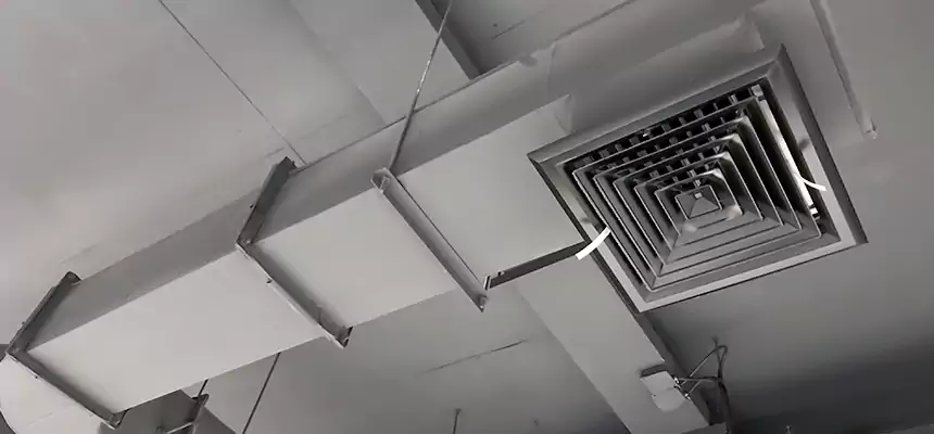 Our Pest Removal From Ducts Services in Catalina Foothills, AZ