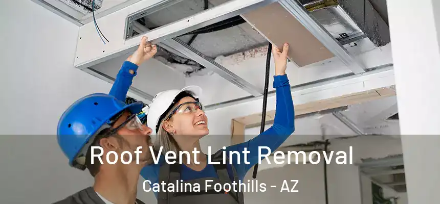  Roof Vent Lint Removal Catalina Foothills - AZ