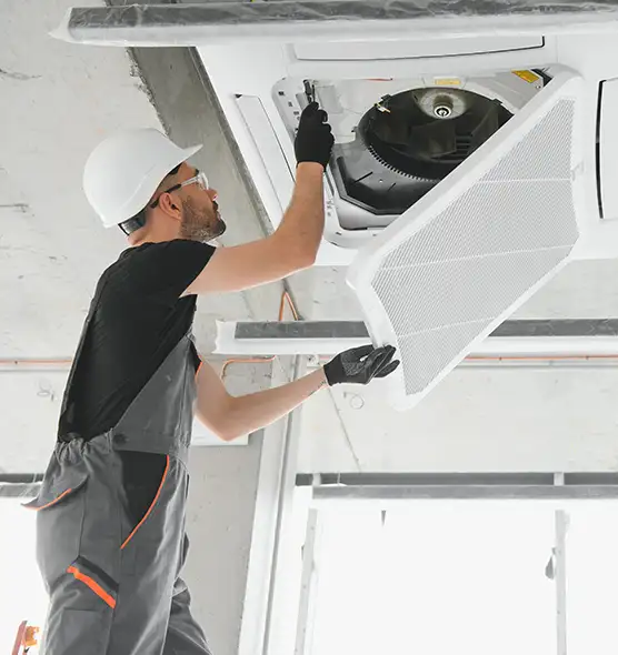 About Air Duct Rodent Removal in Catalina Foothills, AZ