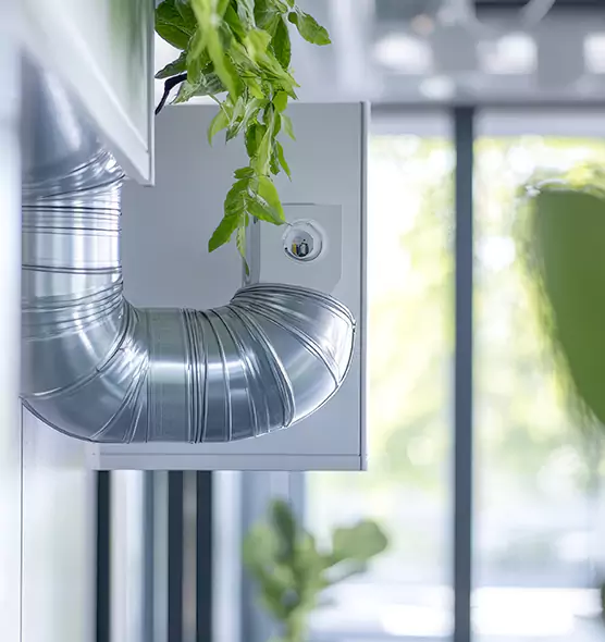 Professional Eco-Safe Dryer Vent Cleaning in Catalina Foothills, AZ