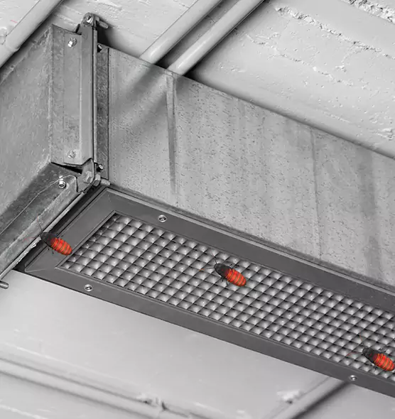 Affordable Insect Removal from Air Ducts in Catalina Foothills, AZ