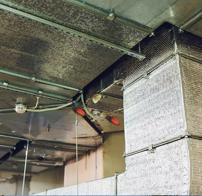 Why Homeowners & Businesses Trust Us in Catalina Foothills, AZ?