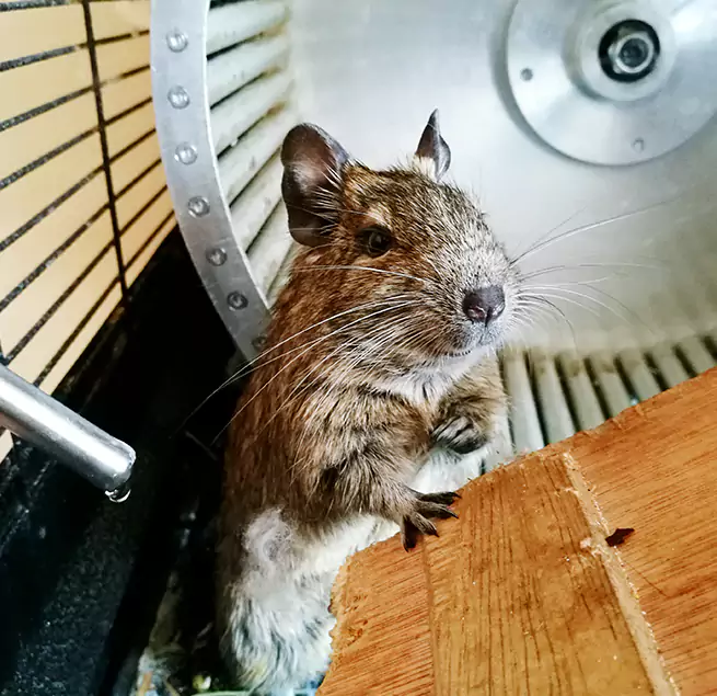 Why Homeowners & Businesses Trust Us Catalina Foothills, AZ?