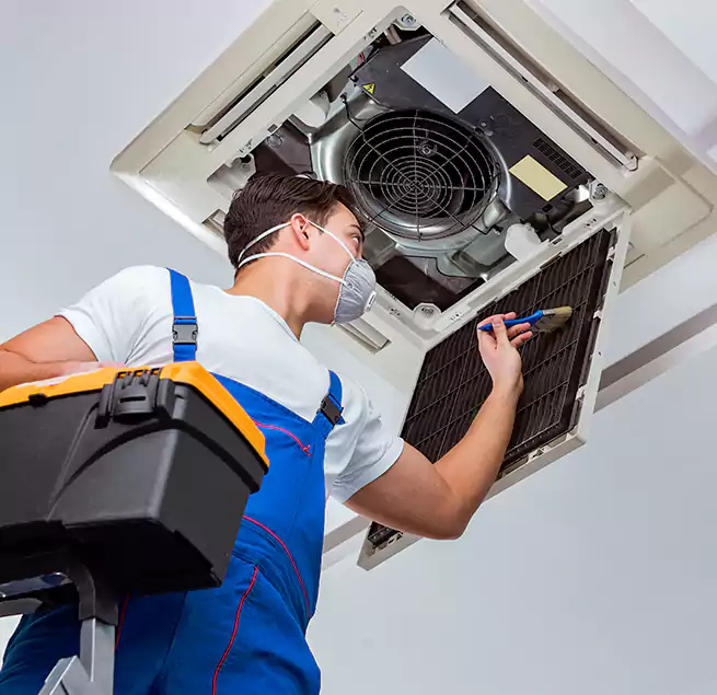 Why Homeowners & Businesses Trust Us in Catalina Foothills, AZ