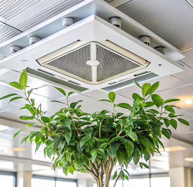 Why Homeowners & Businesses Trust Us in Catalina Foothills, AZ