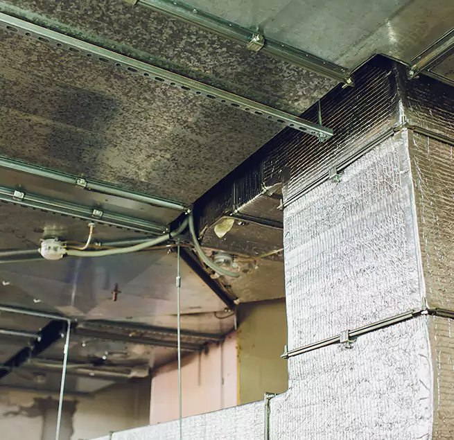 Why Homeowners & Businesses Trust Us in Catalina Foothills, AZ?