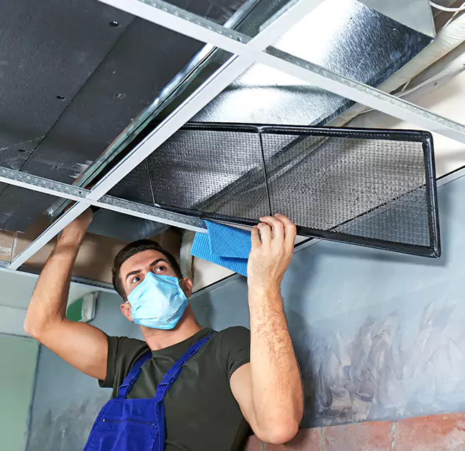 Why Homeowners & Businesses Trust Us in Catalina Foothills, AZ?