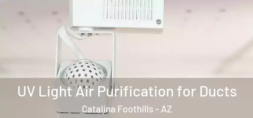  UV Light Air Purification for Ducts Catalina Foothills - AZ
